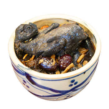 GÀ ÁC TIỀM THUỐC BẮC